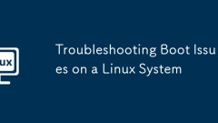 Troubleshooting Boot Issues on a Linux System