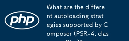 Composer (PSR-4, ClastMap, 파일)가 지원하는 다른 자동로드 전략은 무엇입니까?