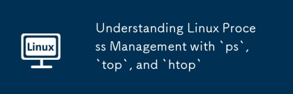 `ps`,`top` 및`htop '을 사용하여 Linux 프로세스 관리를 이해합니다