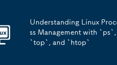 Understanding Linux Process Management with `ps`, `top`, and `htop`
