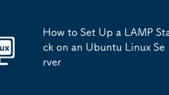 How to Set Up a LAMP Stack on an Ubuntu Linux Server