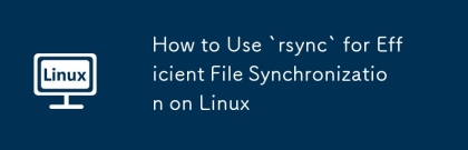 Linux에서 효율적인 파일 동기화에`rsync`를 사용하는 방법
