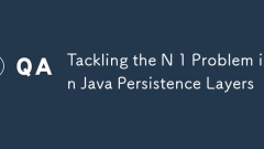 Tackling the N 1 Problem in Java Persistence Layers