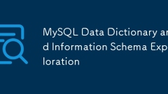 Dictionnaire de données MySQL et schéma d'information Exploration