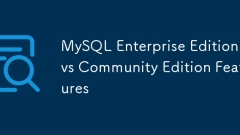 MySQL Enterprise Edition vs Community Edition Fonctionnalités