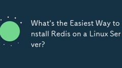 What's the Easiest Way to Install Redis on a Linux Server?