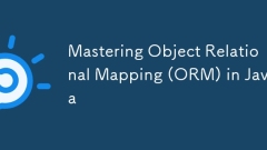 Mastering Object Relational Mapping (ORM) in Java