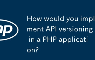Bagaimana anda melaksanakan versi API dalam aplikasi PHP?