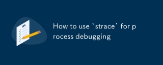 如何使用' strace”進行處理調試