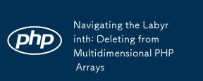 Navigating the Labyrinth: Deleting from Multidimensional PHP Arrays