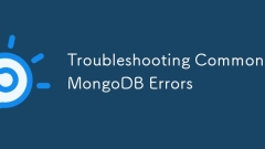 Troubleshooting Common MongoDB Errors