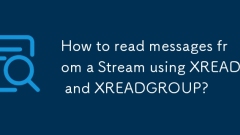 How to read messages from a Stream using XREAD and XREADGROUP?