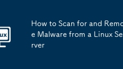 Linuxサーバーからマルウェアをスキャンして削除する方法