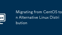 Migrating from CentOS to an Alternative Linux Distribution