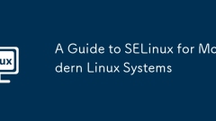 現(xiàn)代Linux系統(tǒng)SELINUX指南