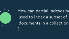 How can partial indexes be used to index a subset of documents in a collection?