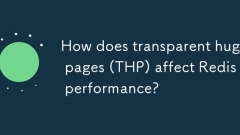 ??? ??? ??? (THP)? Redis ??? ?? ??? ??? ??