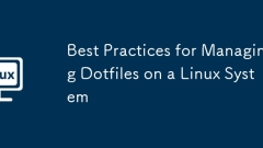Best Practices for Managing Dotfiles on a Linux System