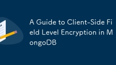 A Guide to Client-Side Field Level Encryption in MongoDB