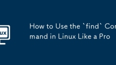 How to Use the `find` Command in Linux Like a Pro