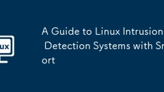 A Guide to Linux Intrusion Detection Systems with Snort