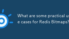 Redis Bitmapsの実際の使用ケースは何ですか?