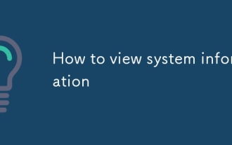 So sehen Sie sich Systeminformationen an
