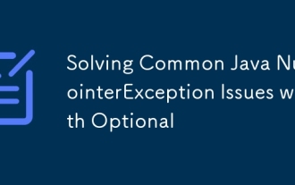 Lösen gemeinsamer Java -NullPointerexception -Probleme mit optional