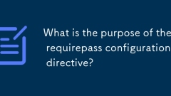 What is the purpose of the requirepass configuration directive?