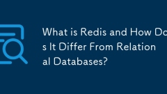 What is Redis and How Does It Differ From Relational Databases?