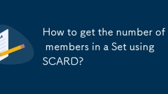 How to get the number of members in a Set using SCARD?