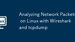 Menganalisis paket rangkaian di linux dengan wireshark dan tcpdump