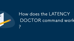 How does the LATENCY DOCTOR command work?