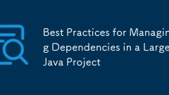 Best Practices for Managing Dependencies in a Large Java Project