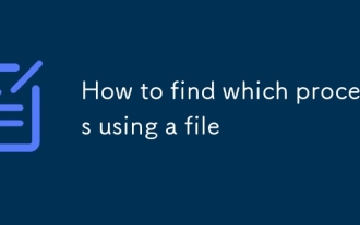 どのプロセスがファイルを使用しているかを見つける方法