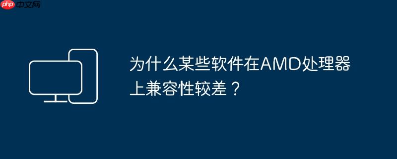 为什么某些软件在AMD处理器上兼容性较差？