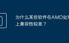 为什么某些软件在AMD处理器上兼容性较差?