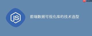 前端数据可视化库的技术选型