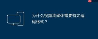 为什么视频流媒体需要特定编码格式？