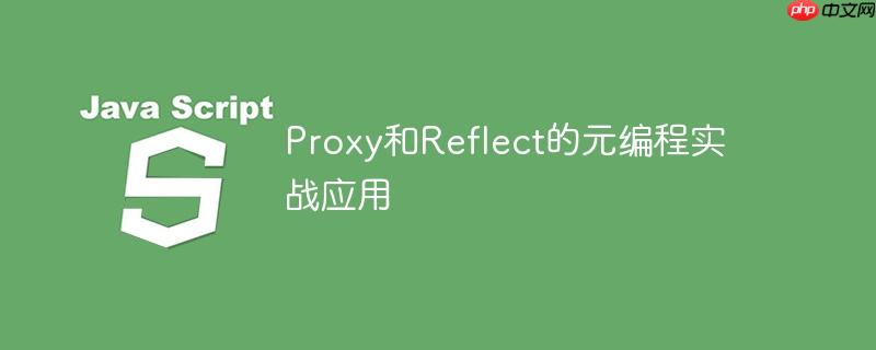 Proxy和Reflect的元编程实战应用