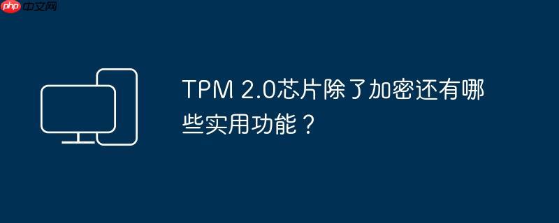 TPM 2.0芯片除了加密还有哪些实用功能？