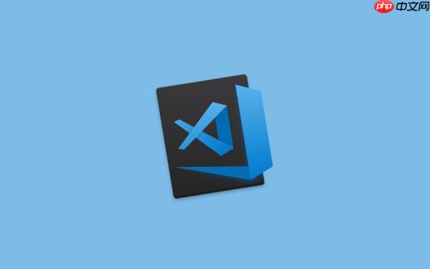 vscode 的迷你地图(minimap)有哪些可自定义的显示选项?