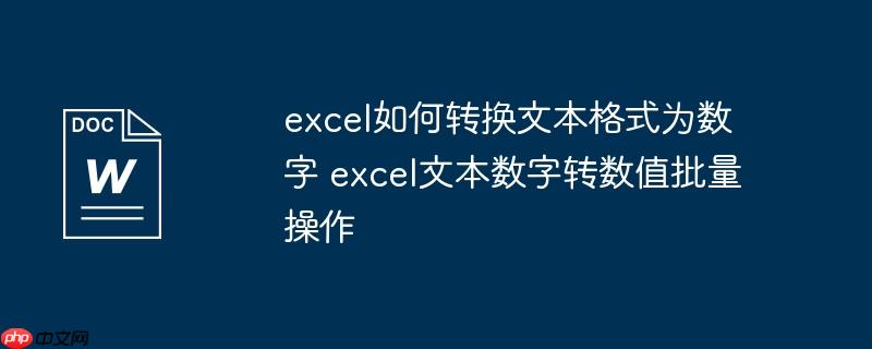 excel如何转换文本格式为数字 excel文本数字转数值批量操作
