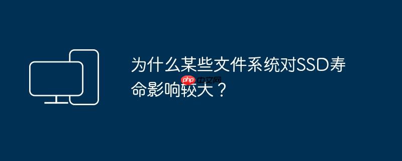 为什么某些文件系统对SSD寿命影响较大？