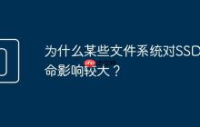 为什么某些文件系统对SSD寿命影响较大?