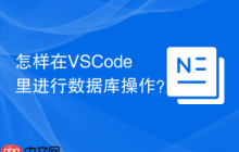 怎样在VSCode里进行数据库操作？