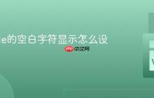 VSCode的空白字符显示怎么设置？