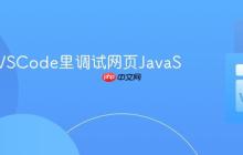 怎样在VSCode里调试网页JavaScript?