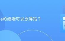 VSCode的终端可以分屏吗?