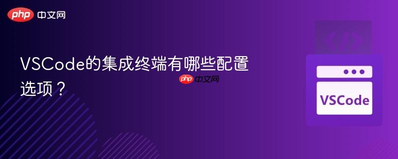 VSCode的集成终端有哪些配置选项？